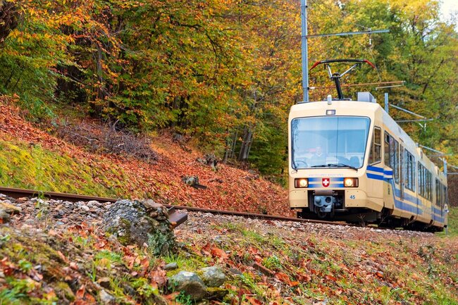 Lago Maggiore Express
